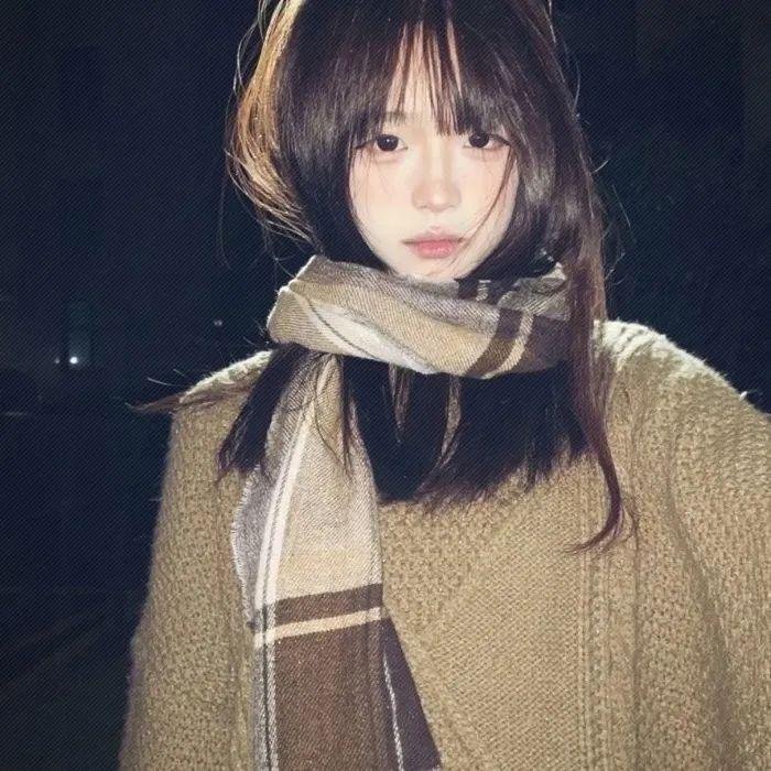 国家保安 在线观看封面
